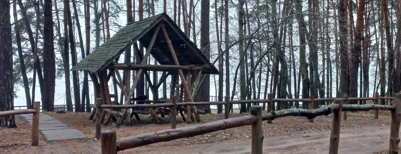 image 49